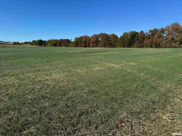 a view of a lake from a yard