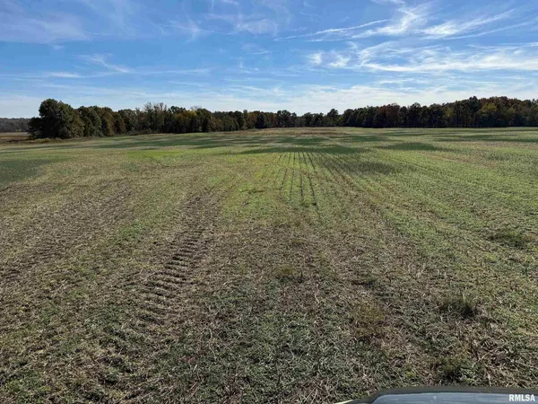 a view of an outdoor space and a yard