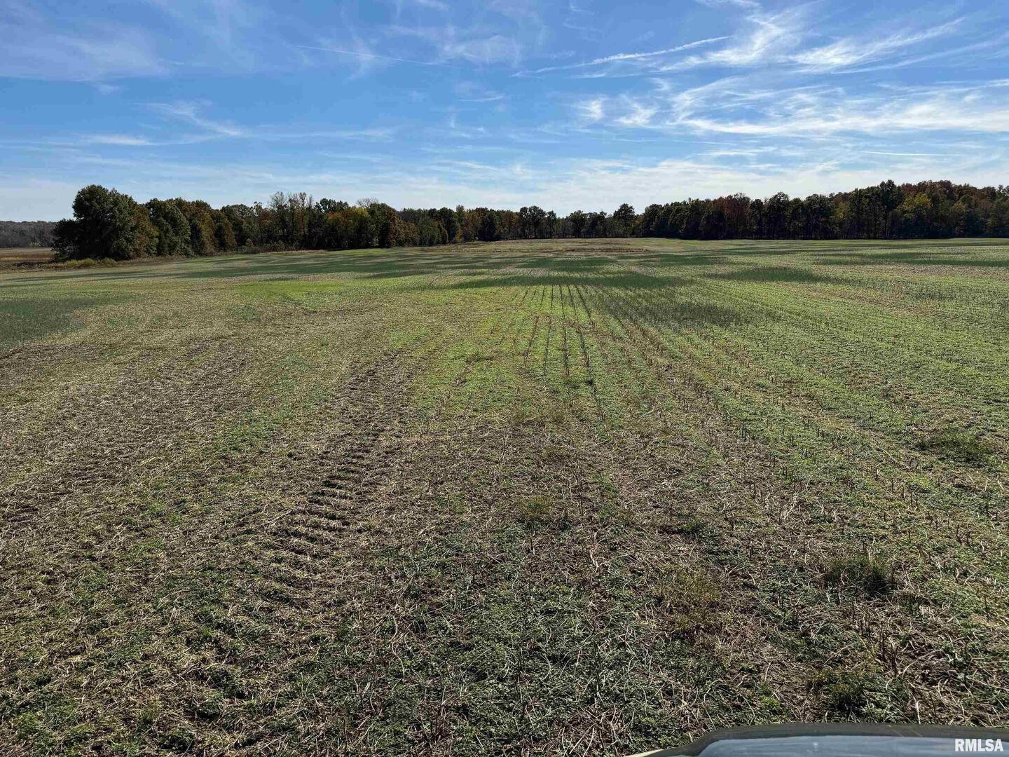 0 Akin Road Macedonia, IL 62860 - Photo 4 of 15 a view of an outdoor space and a yard