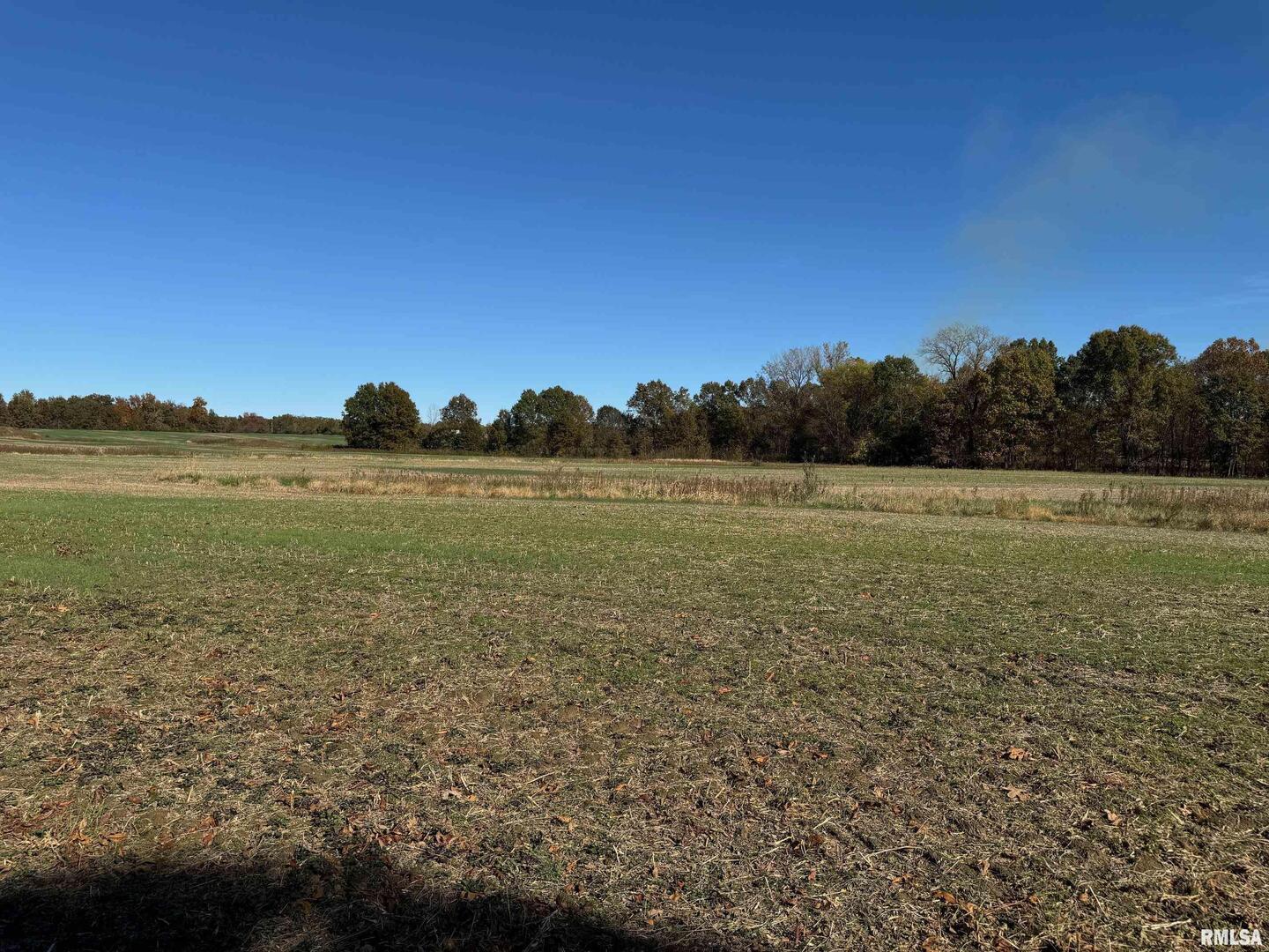 0 Akin Road Macedonia, IL 62860 - Photo 9 of 15