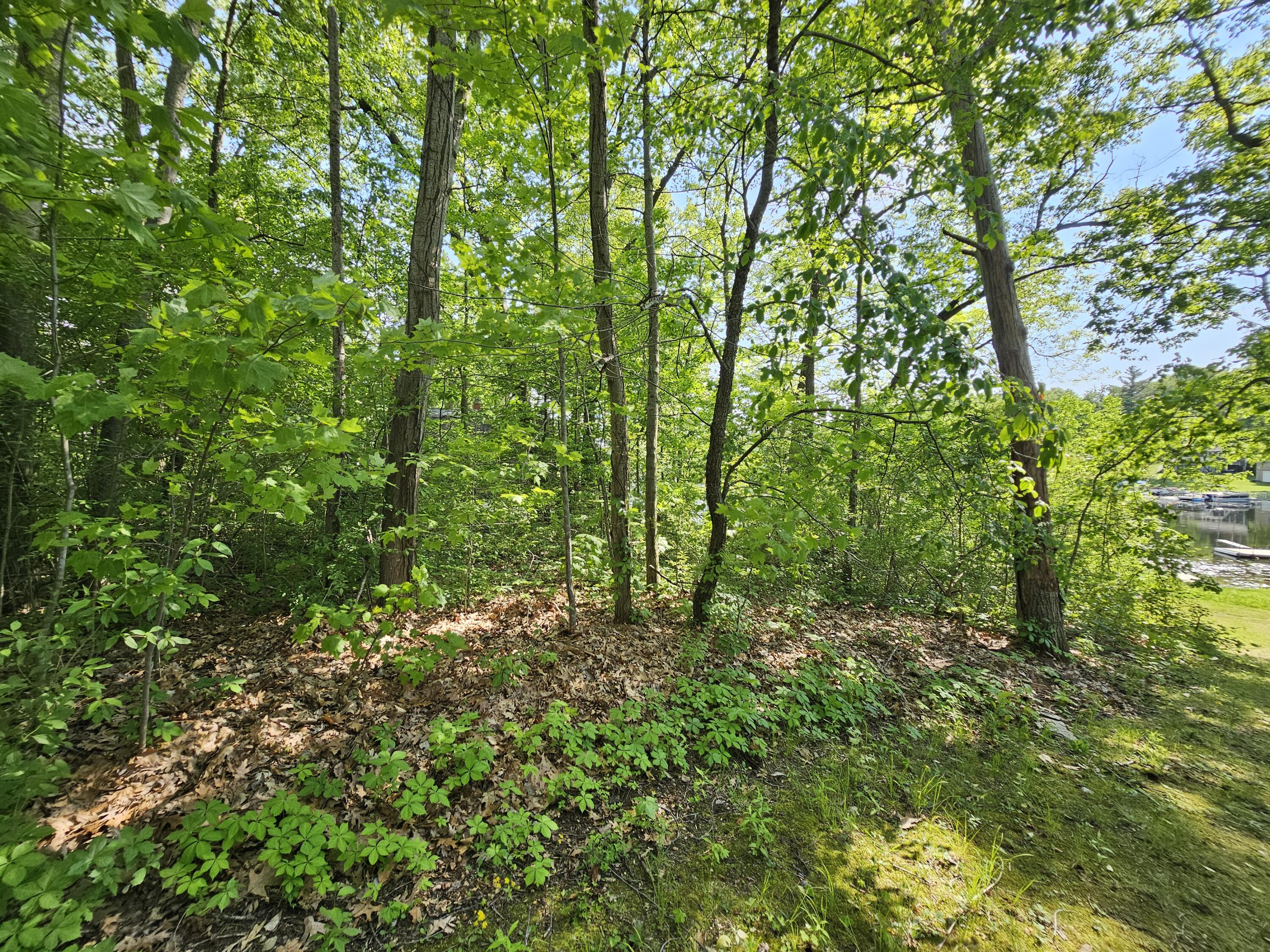 5350 Eze Street Reading, MI 49274 - Photo 21 of 36 1000039226