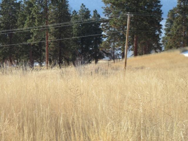 0 Pleasant View Road, Unit LOT 29 Chiloquin, OR 97624 - Photo 8 of 9 Additional Photo