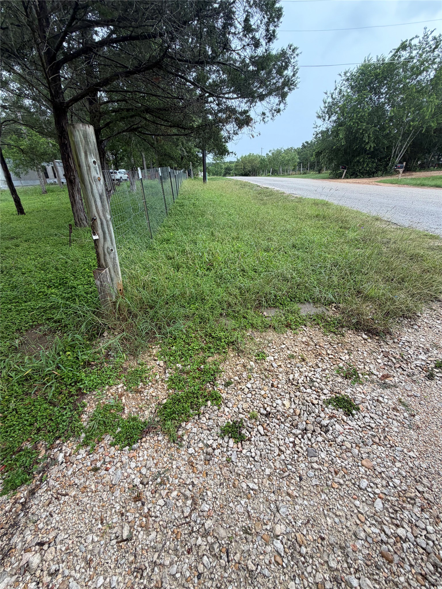 214 The Forest Road Dale, TX 78616 - Photo 13 of 18 A tranquil rural road awaits, flanked by a natural fence and abundant greenery.