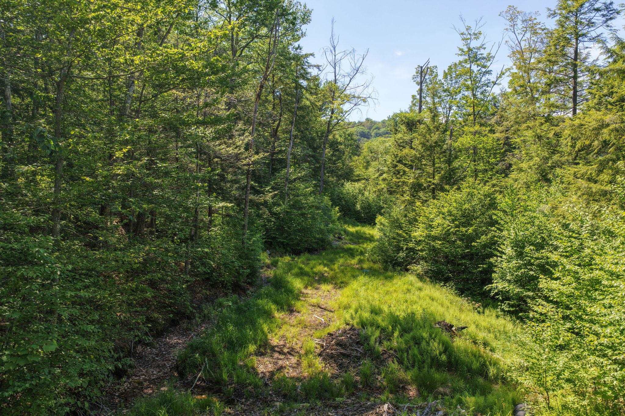 381 Whitaker Farm Road Marlboro, VT 05301 - Photo 8 of 20