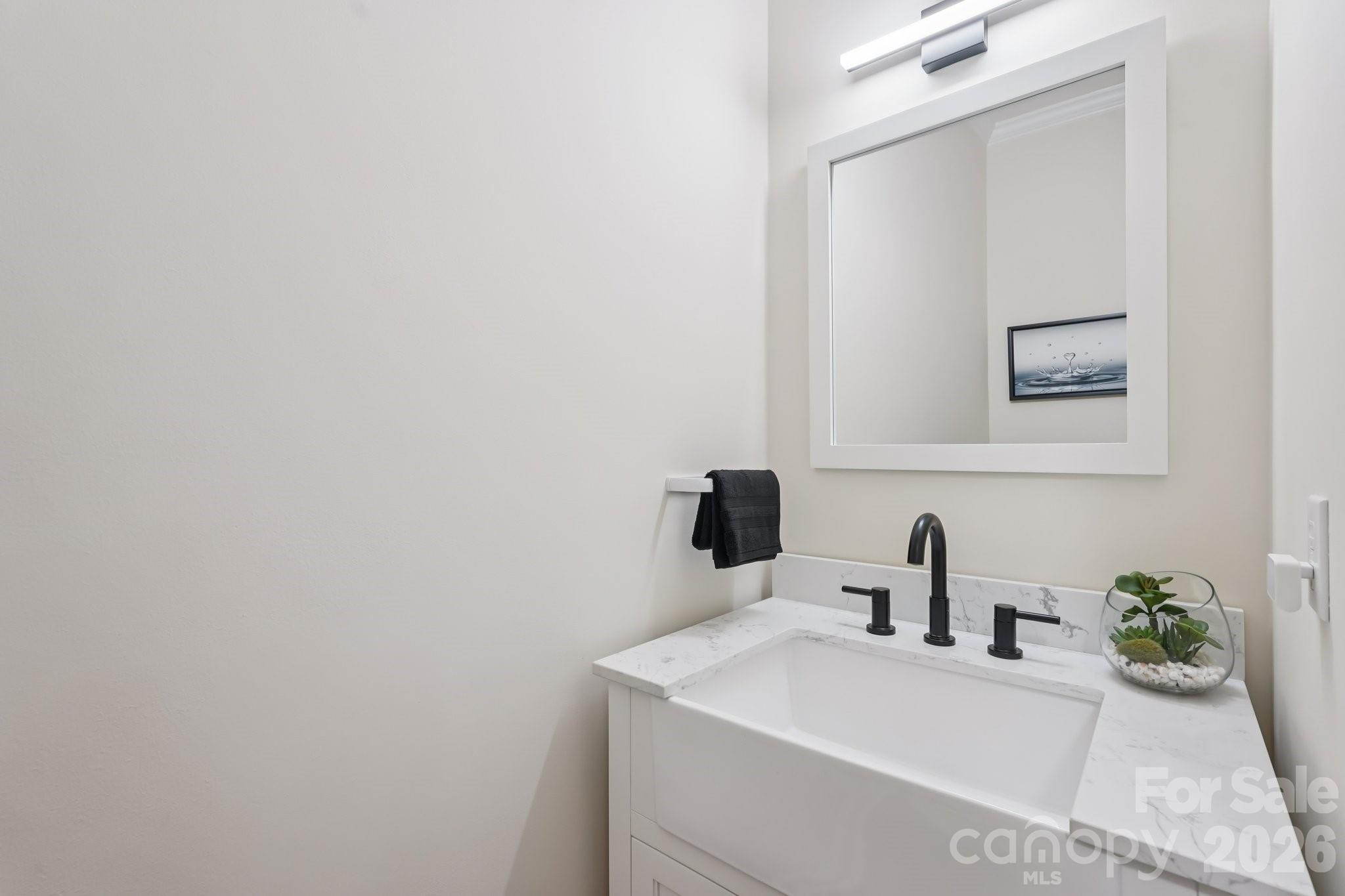 11655 Terrill Ridge Drive Davidson, NC 28036 - Photo 22 of 40 a bathroom with a sink and a mirror