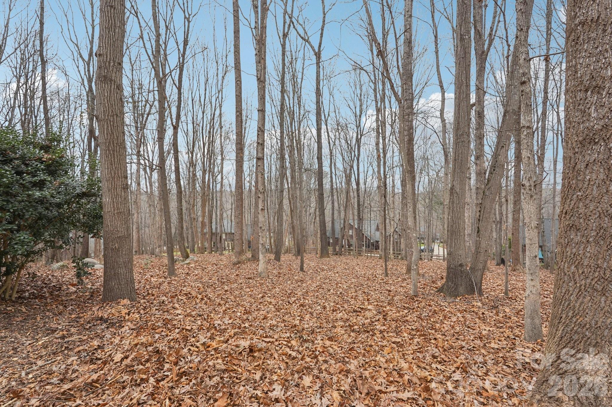11655 Terrill Ridge Drive Davidson, NC 28036 - Photo 36 of 40 a view of wooden fence with trees