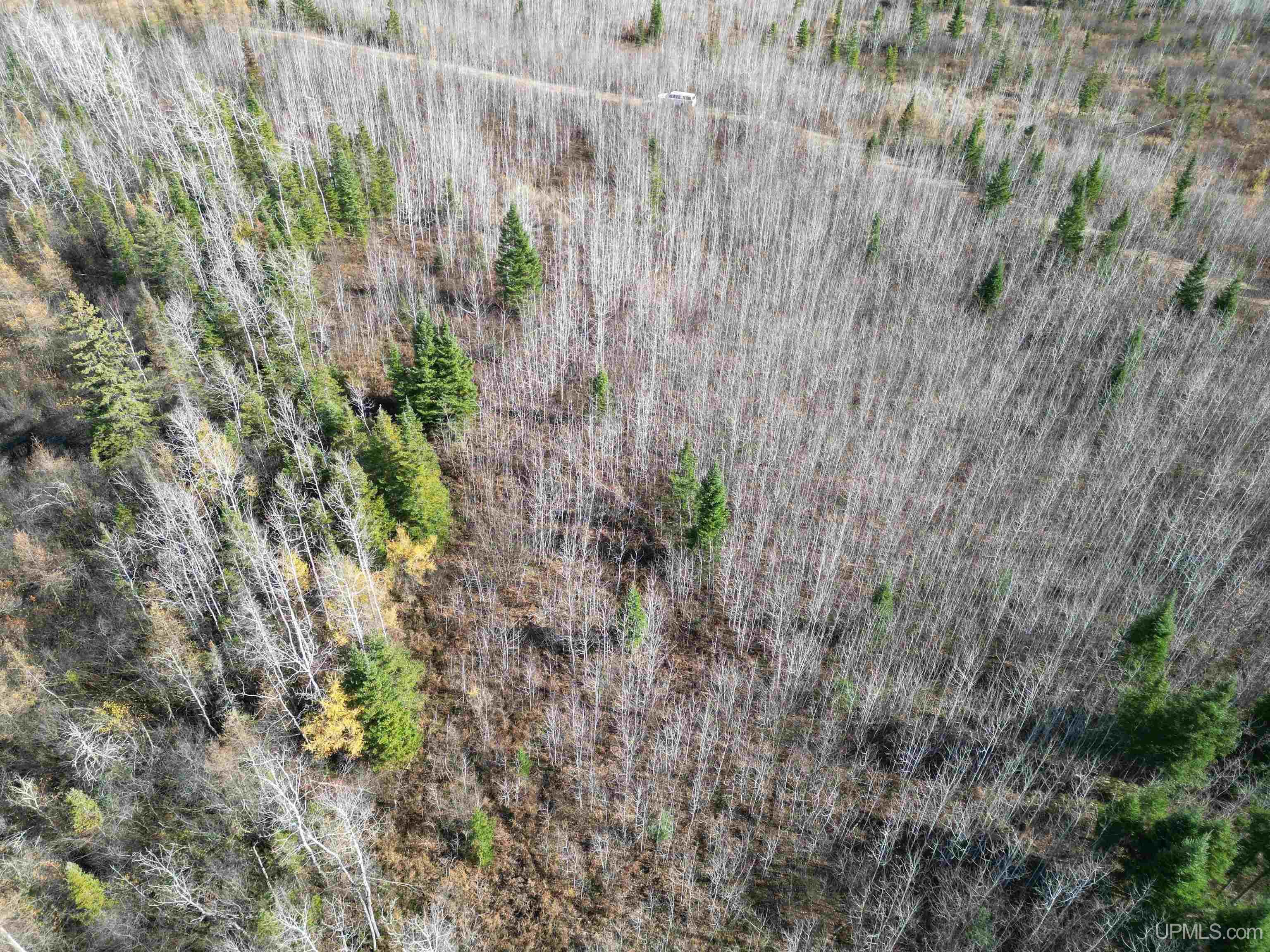 27.5 Rd 52 Ac Trail Gladstone, MI 49837 - Photo 4 of 20