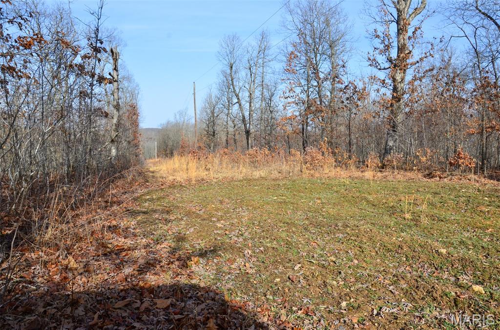 10331 Hopkins Road Potosi, MO 63664 - Photo 26 of 76