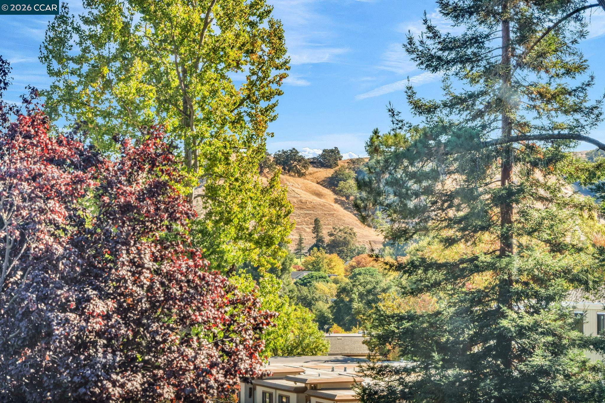 2080 Golden Rain Road, Unit 2 Walnut Creek, CA 94595 - Photo 1 of 1 a view of yard with green space and fog