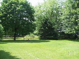 10430 Riga Highway Riga, MI 49276 - Photo 14 of 17 948163-13.JPG