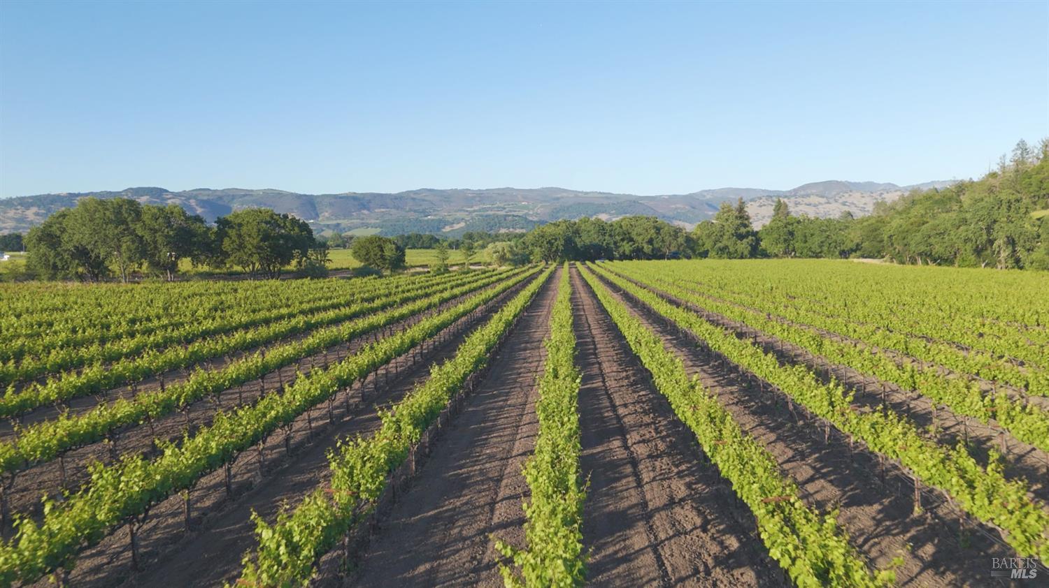 1300 Yount Mill Road Napa, CA 94558 - Photo 4 of 12
