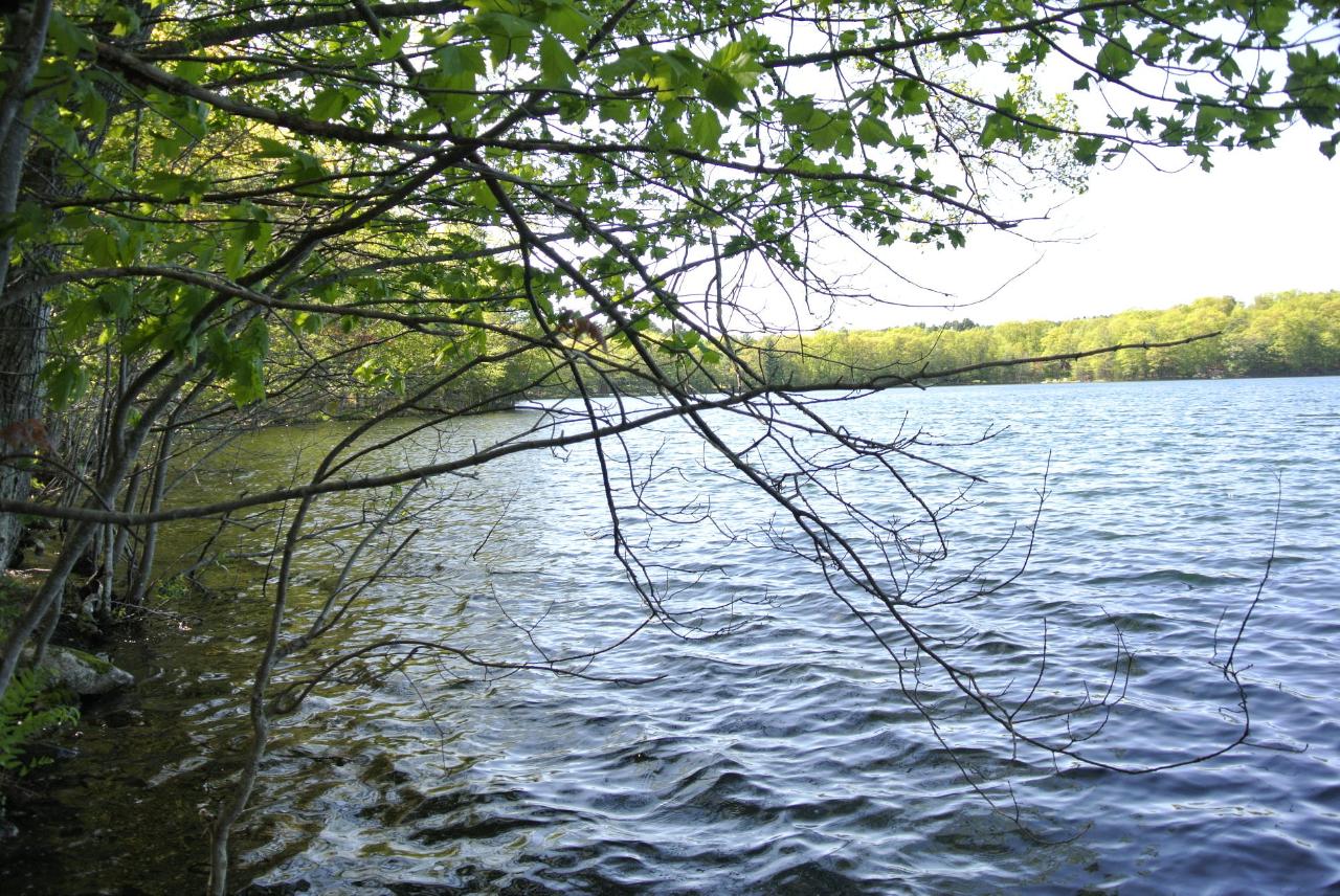 9740 South Kaubashine Road Hazelhurst, WI 54531 - Photo 27 of 29 Gallery Image 27