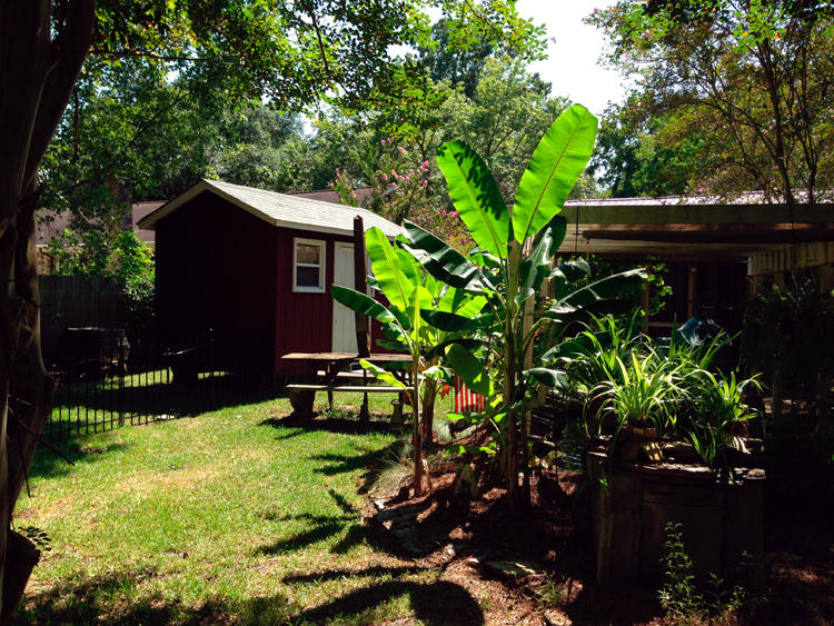 163 Tall Pines Road Ladson, SC 29456 - Photo 18 of 21 2015-08-14 15.01.55_edt