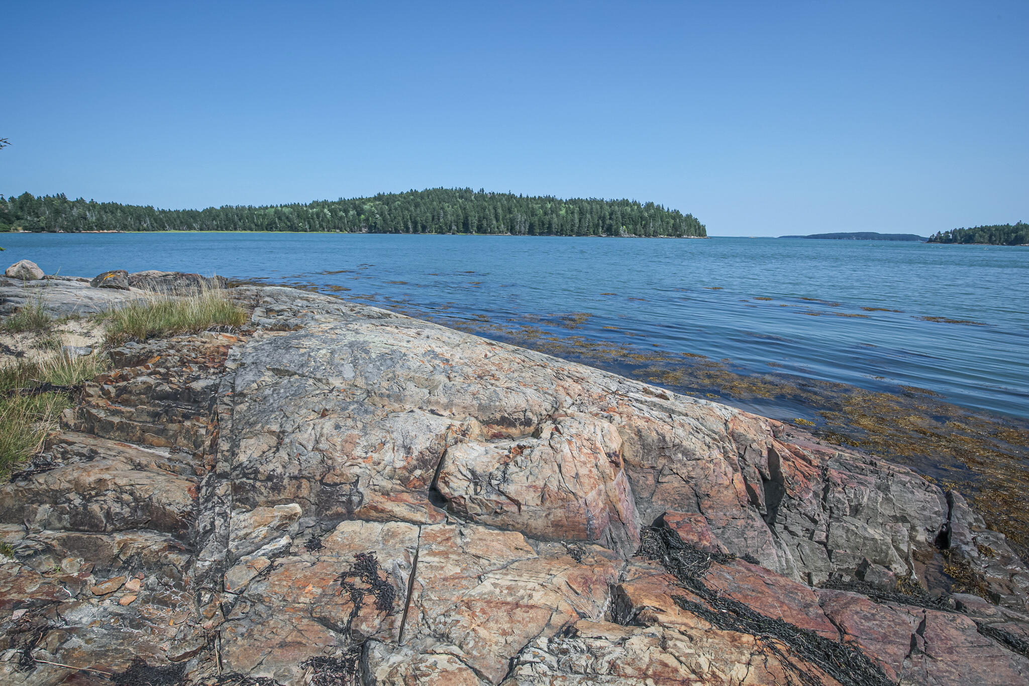 82 Ocean View Road Jonesboro, ME 04648 - Photo 17 of 77 IMG_6529