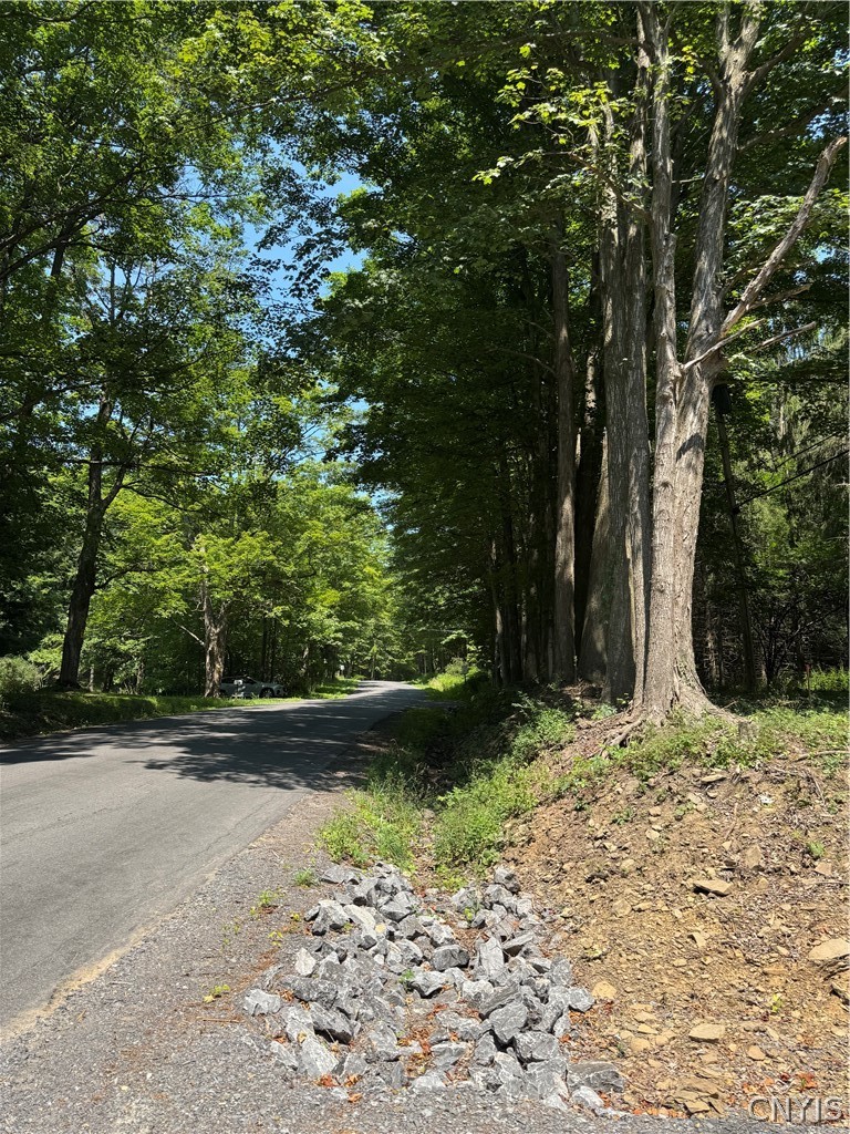 1 Bonney Hill Road Hamilton, NY 13346 - Photo 7 of 17 Looking up Bonney Hill Rd