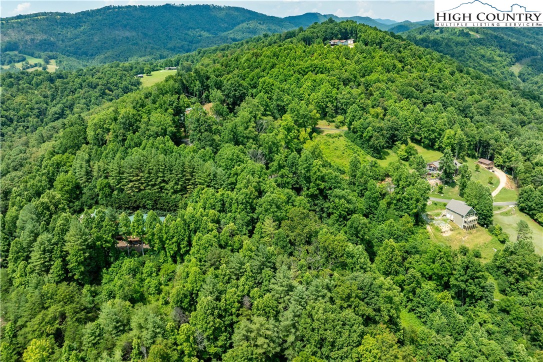 Lot 12 Lake Ridge Butler, TN 37640 - Photo 18 of 22