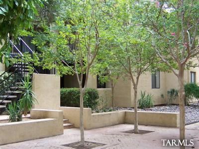 8255 North Oracle Road, Unit 106 Tucson, AZ 85704 - Photo 1 of 10 Gallery Image 1