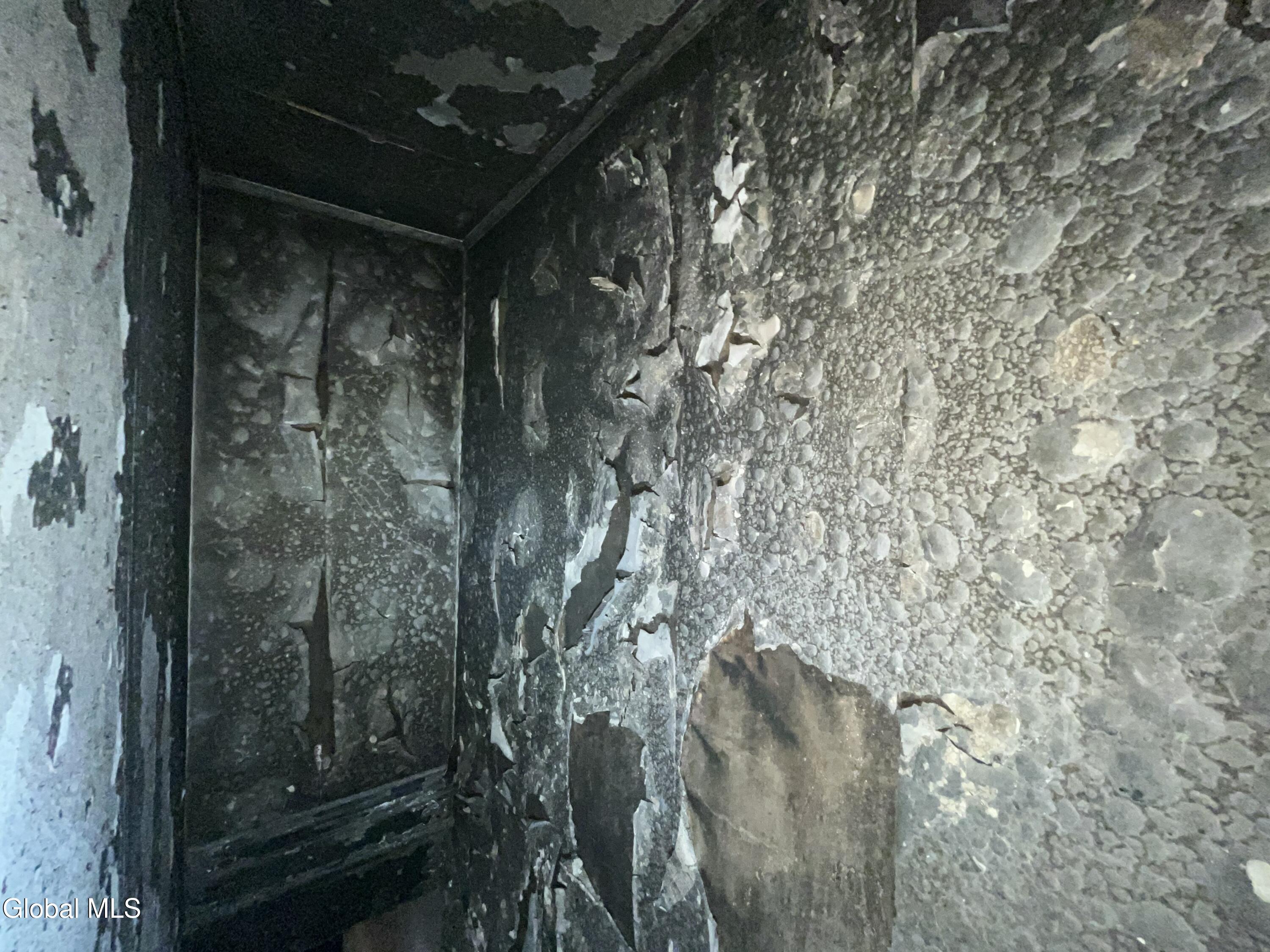 369 Madison Avenue Albany, NY 12210 - Photo 23 of 38 IMG_9771