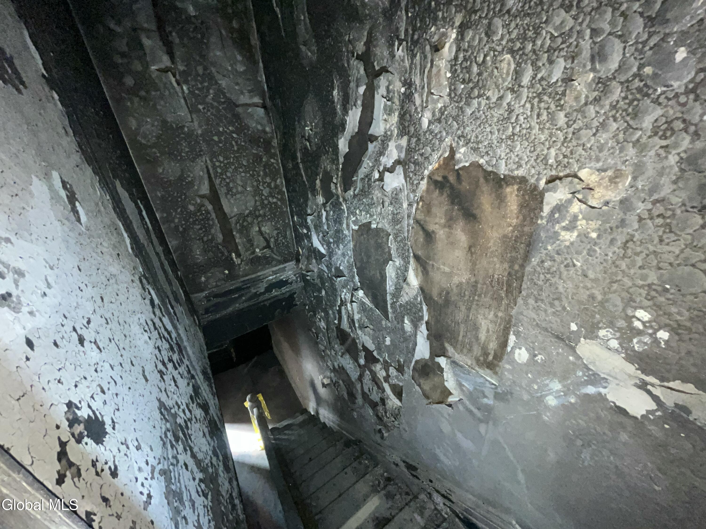 369 Madison Avenue Albany, NY 12210 - Photo 24 of 38 IMG_9772