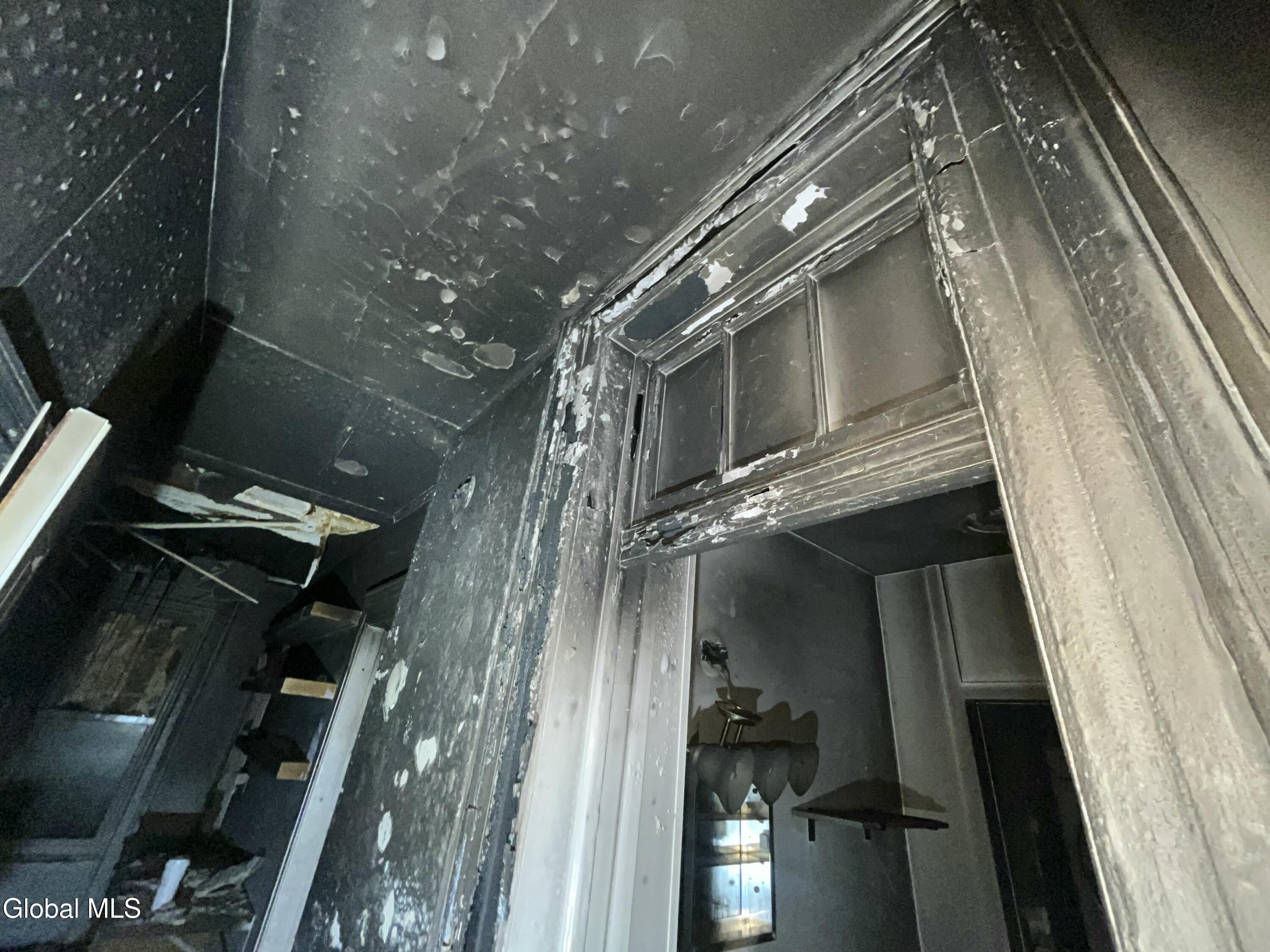 369 Madison Avenue Albany, NY 12210 - Photo 32 of 38 IMG_9781