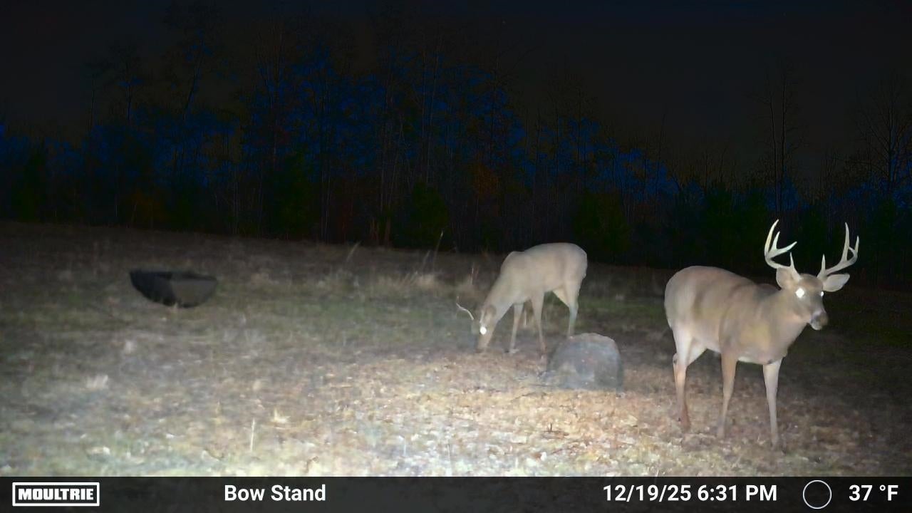 0 Cedar Cut Road Rutledge, AL 36071 - Photo 6 of 35 Gallery Image 6
