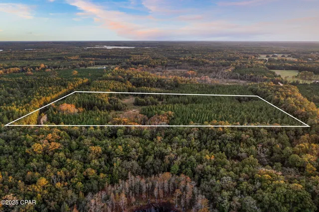 $120,000 | Xxx Fortune Pond Road, Unit NORTH 20 ACRES), Vernon, FL 32462