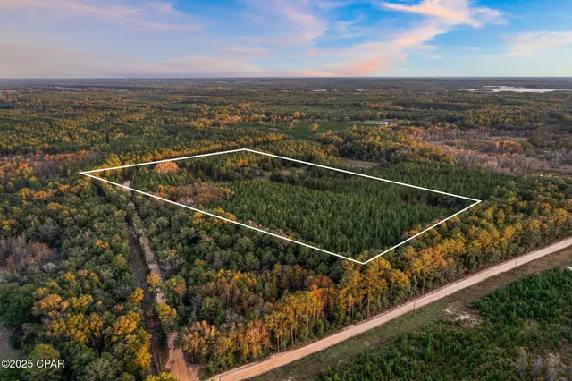 $120,000 | Xxx Fortune Pond Road, Unit NORTH 20 ACRES), Vernon, FL 32462