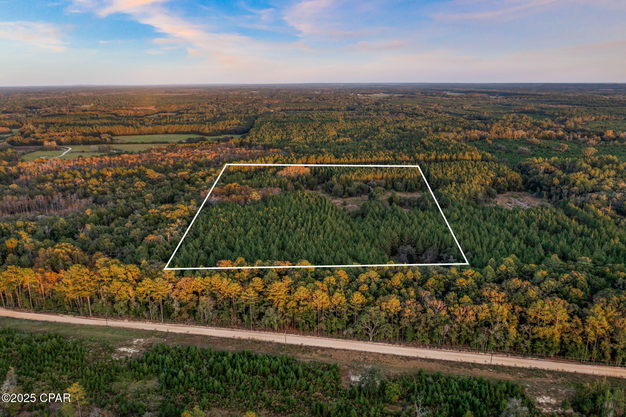 Xxx Fortune Pond Road, Unit NORTH 20 ACRES) Vernon, FL 32462 - Photo 4 of 4