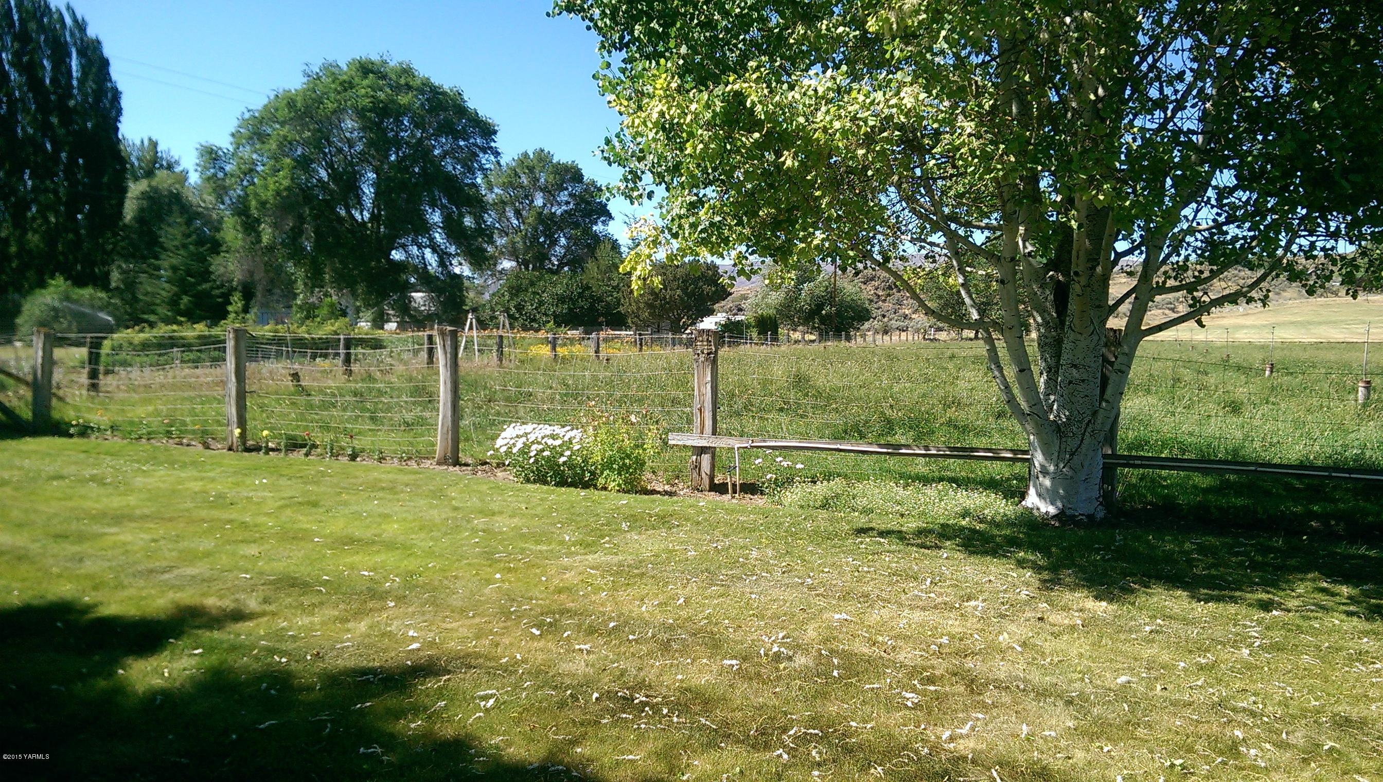 120 Funkhouser Road Tieton, WA 98947 - Photo 7 of 19 a view of a yard with a tree