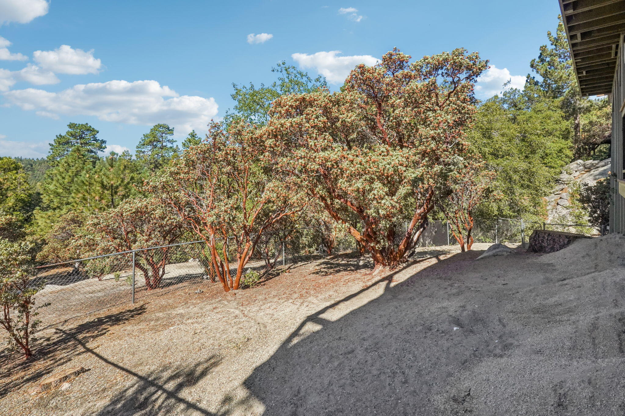 54091 North Ridge Drive Idyllwild, CA 92549 - Photo 42 of 58 a view of outdoor space with trees
