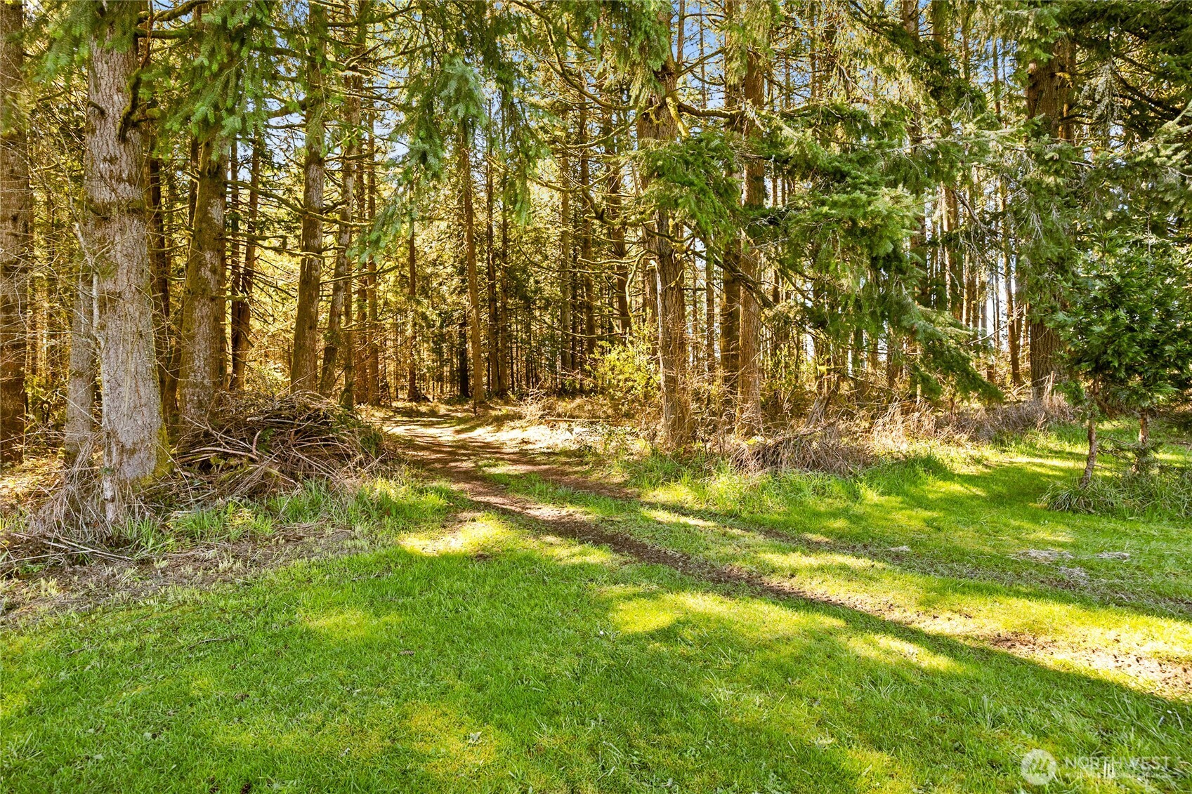 217 Bay Road Winlock, WA 98596 - Photo 29 of 37