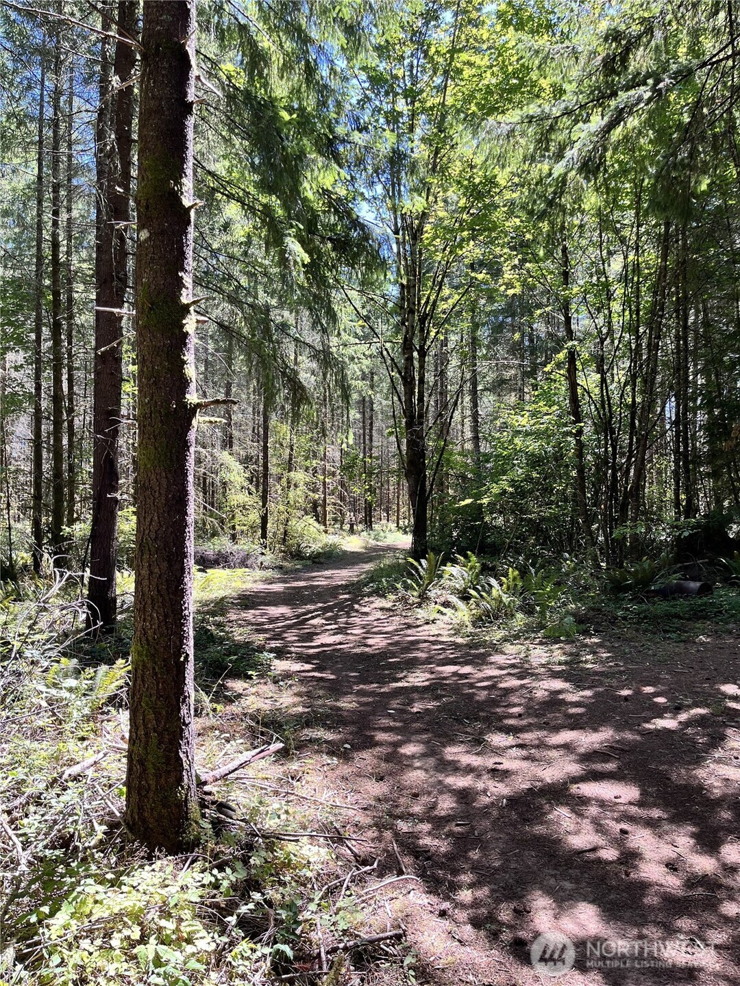 217 Bay Road Winlock, WA 98596 - Photo 31 of 37