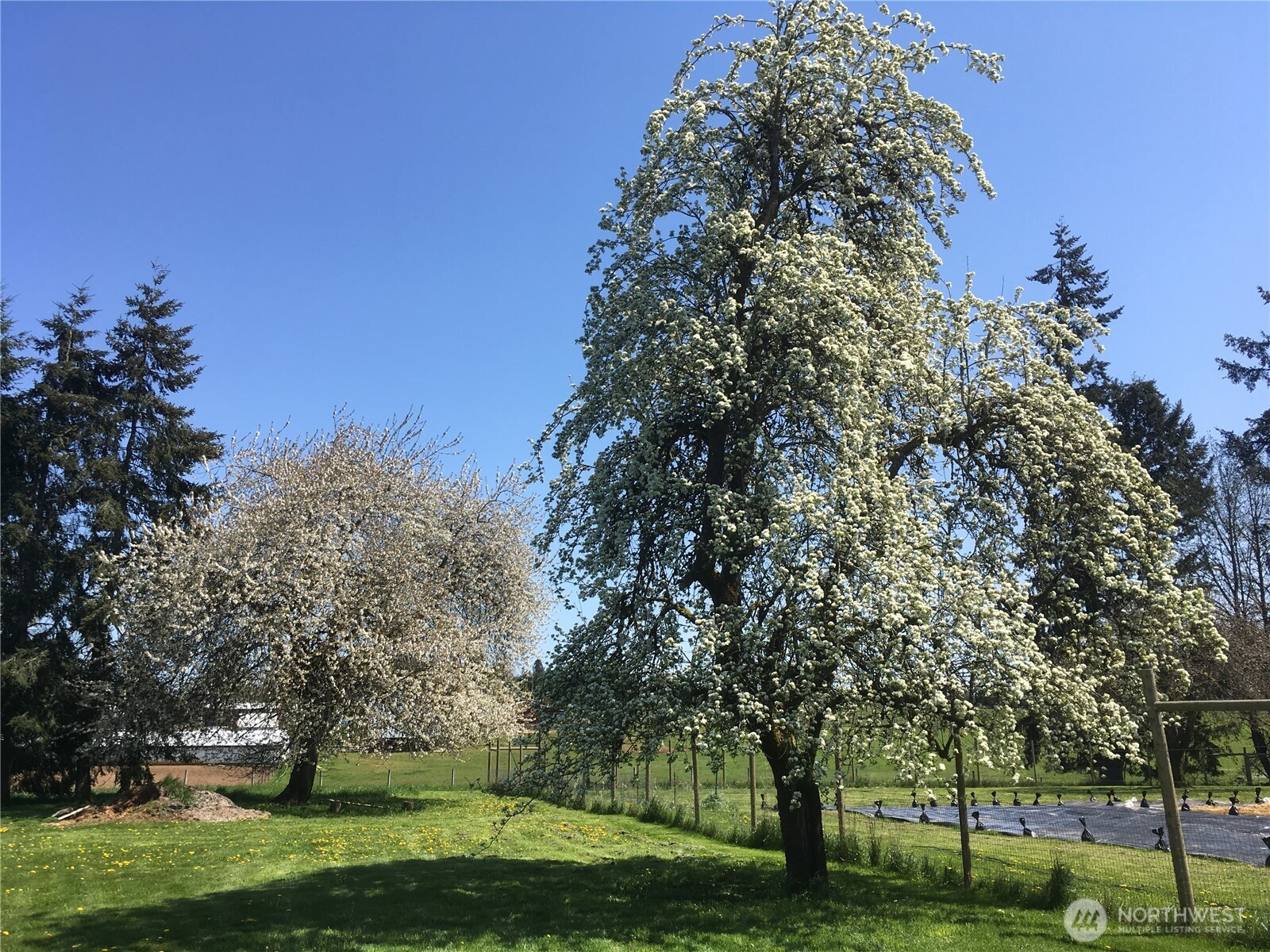 217 Bay Road Winlock, WA 98596 - Photo 33 of 37