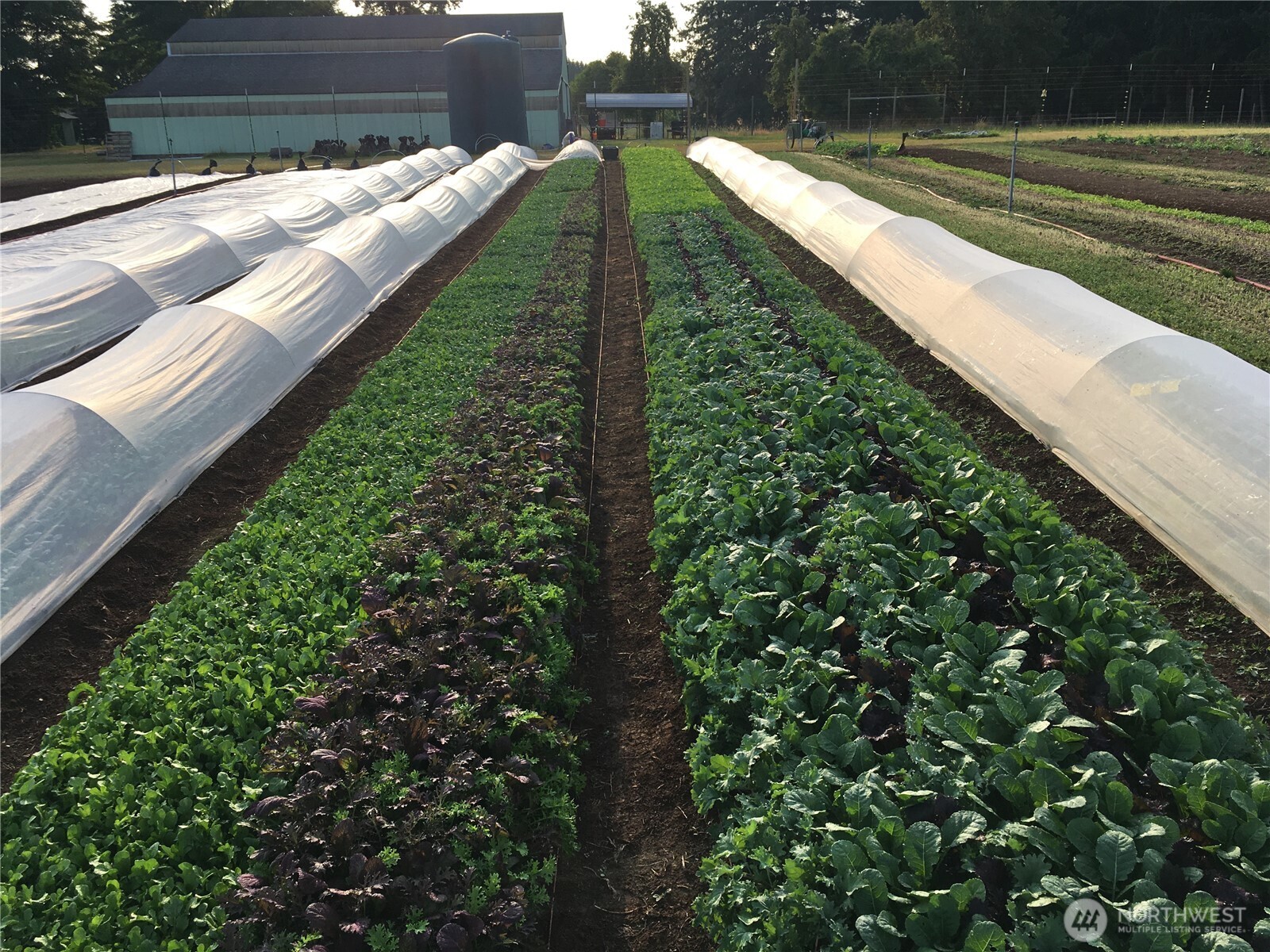 217 Bay Road Winlock, WA 98596 - Photo 36 of 37