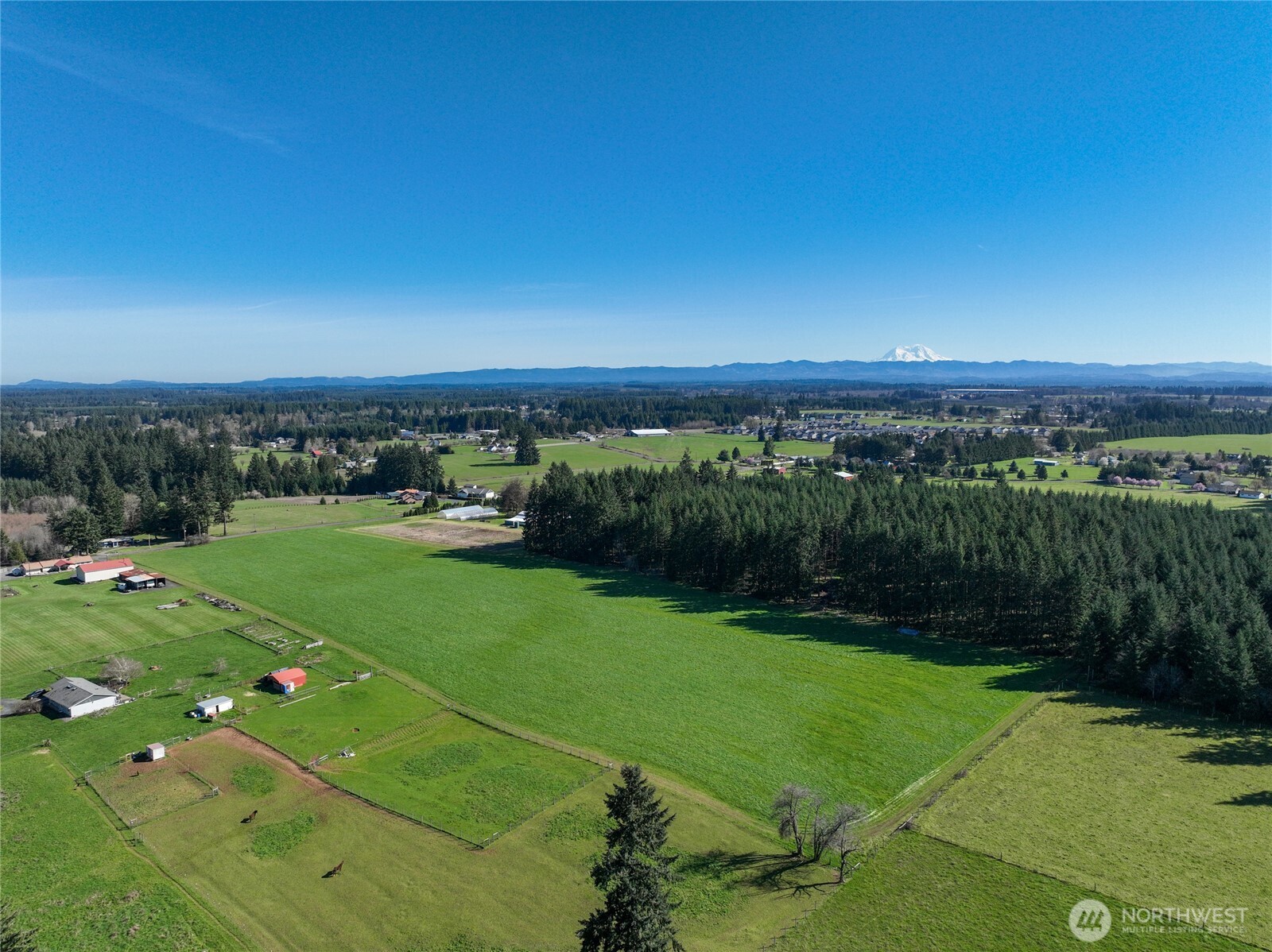 217 Bay Road Winlock, WA 98596 - Photo 6 of 37