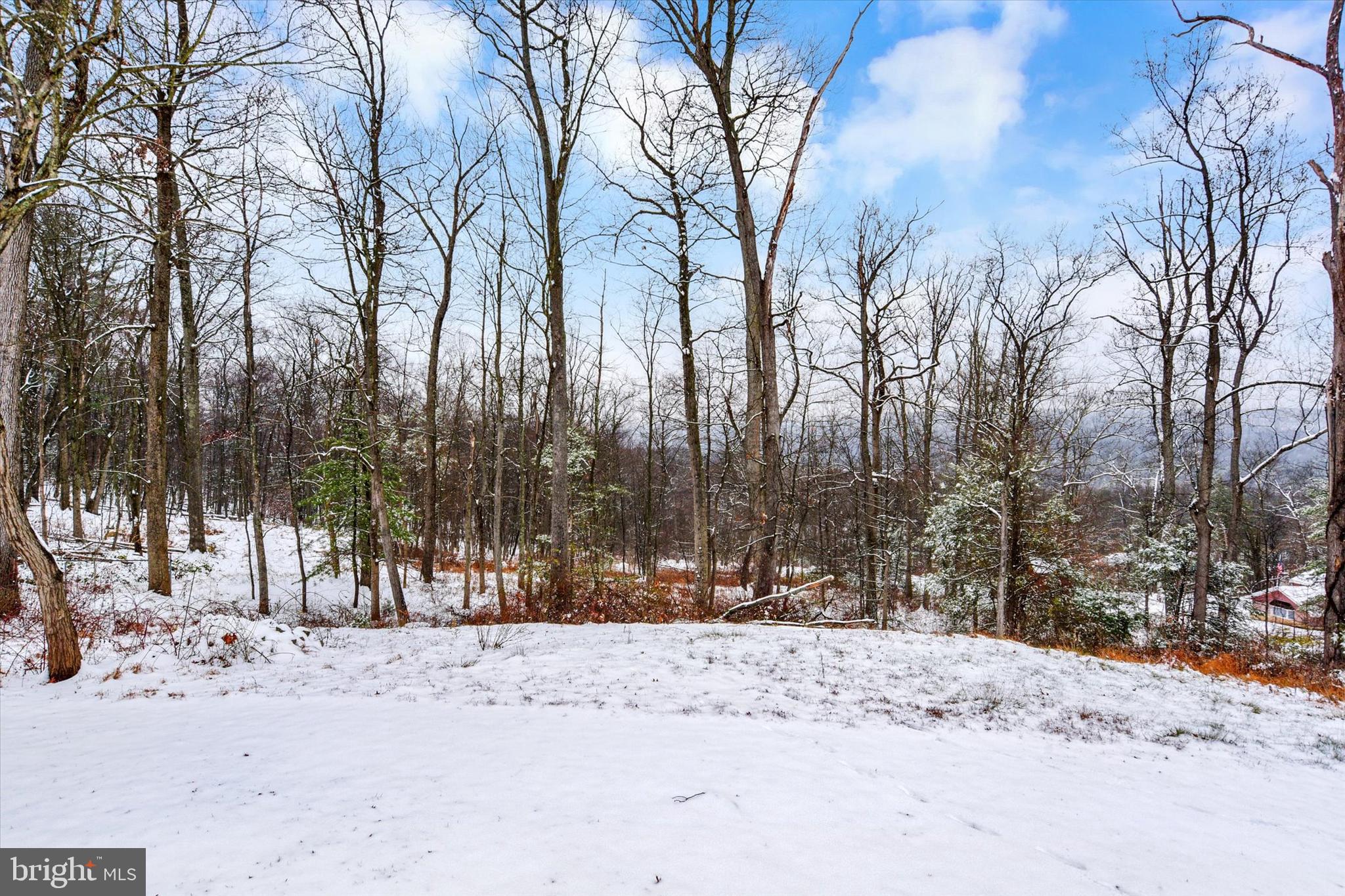 1336 Piketown Road Harrisburg, PA 17112 - Photo 24 of 29 a view of outdoor space with trees