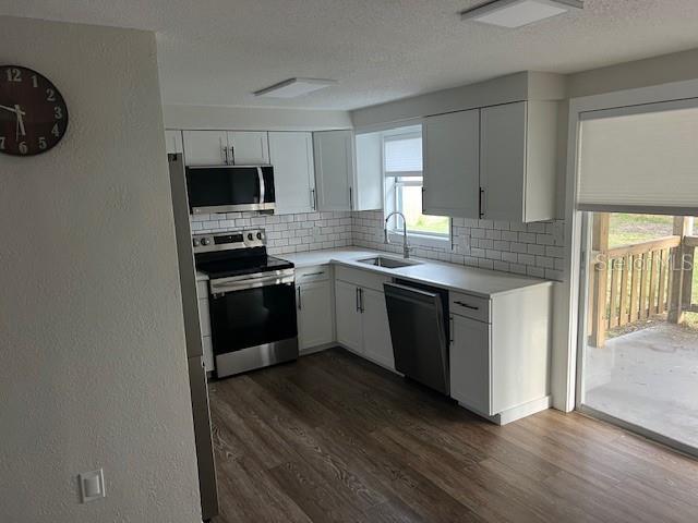 5026 Moog Road Holiday, FL 34690 - Photo 4 of 23