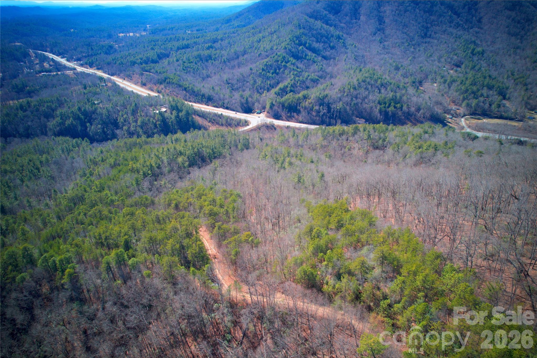 0 Whisnant Road Lenoir, NC 28645 - Photo 14 of 21 a view of a lush green forest with lots of trees
