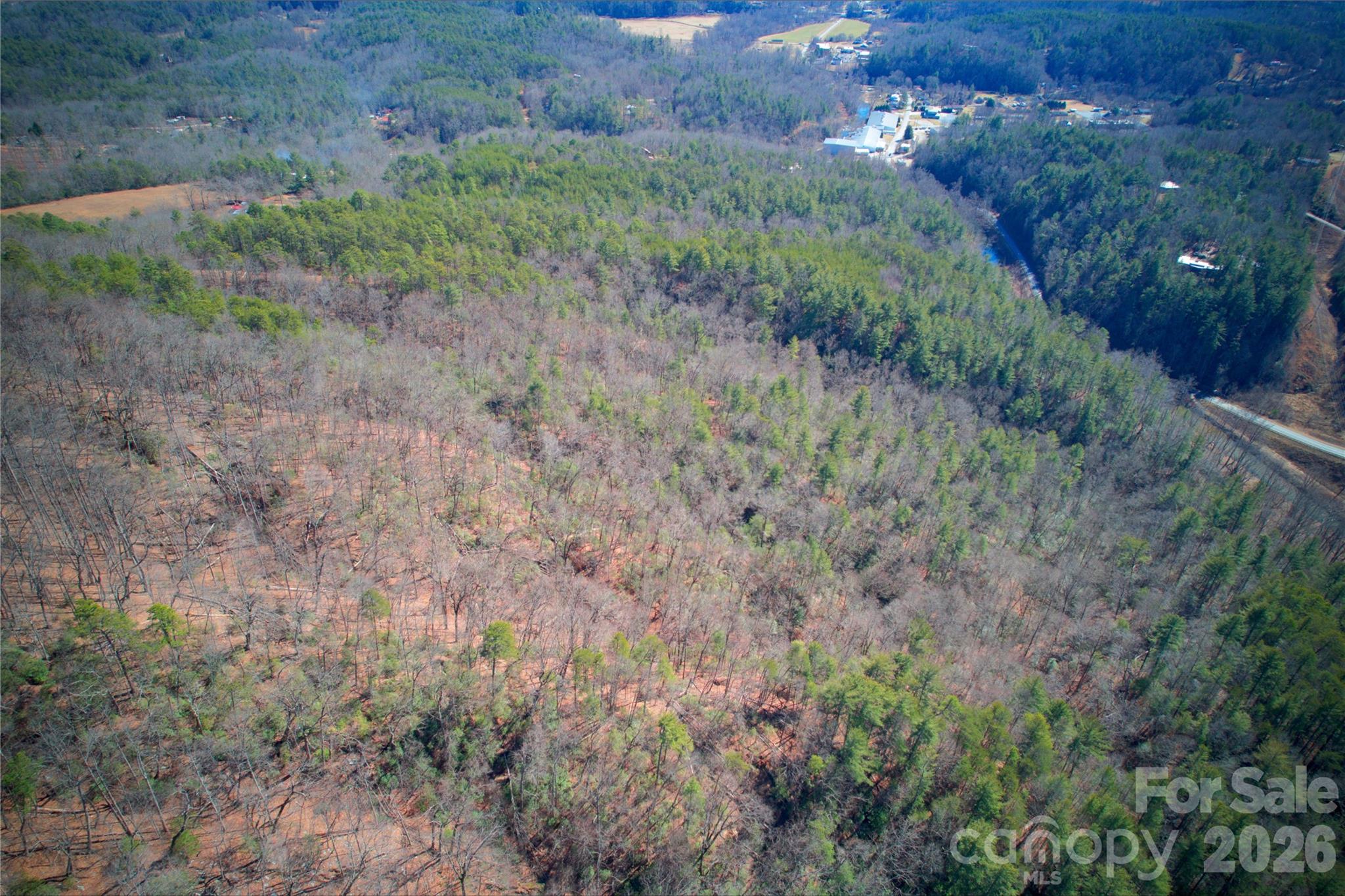 0 Whisnant Road Lenoir, NC 28645 - Photo 17 of 21 a view of a forest with trees in the background