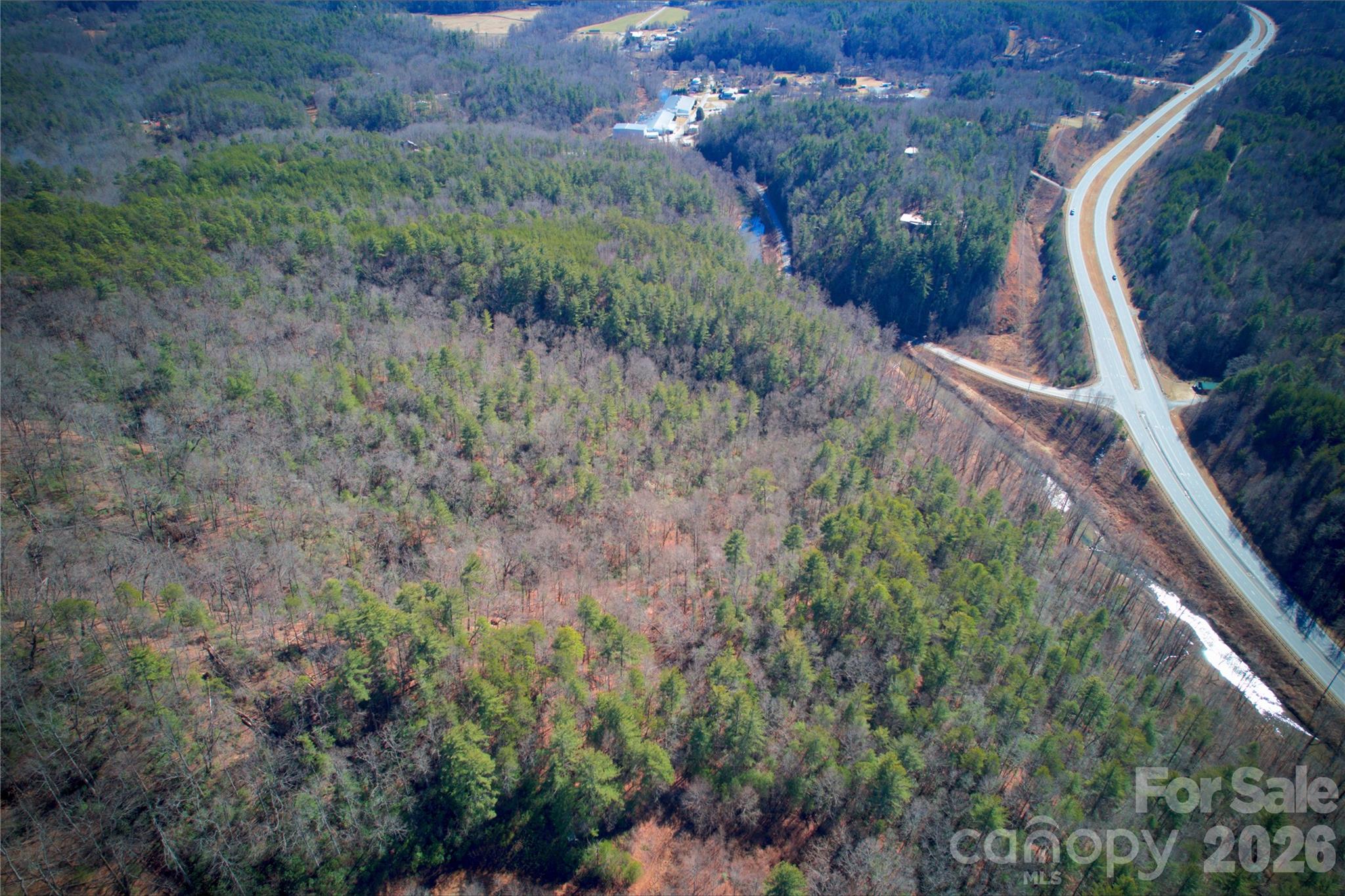 0 Whisnant Road Lenoir, NC 28645 - Photo 18 of 21 a view of a garden with plants and large trees