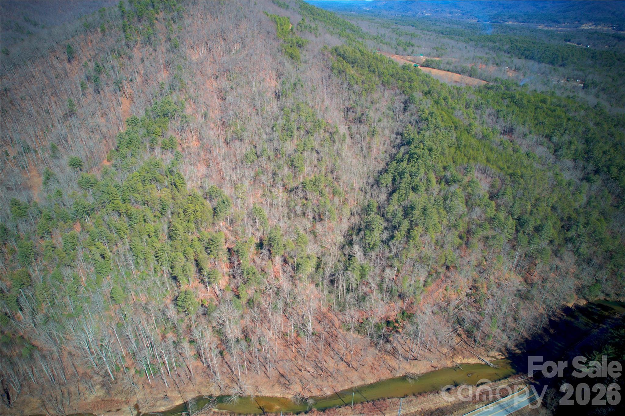 0 Whisnant Road Lenoir, NC 28645 - Photo 21 of 21 a view of a yard with trees