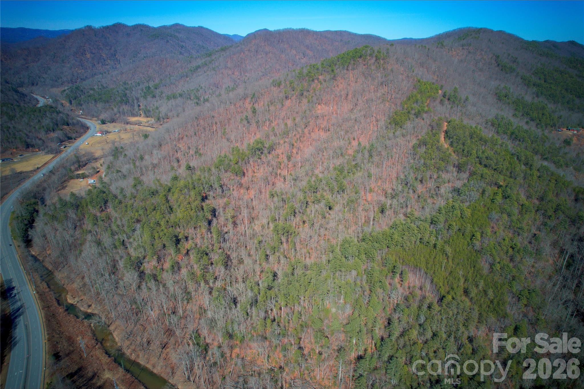 0 Whisnant Road Lenoir, NC 28645 - Photo 4 of 21 a view of a lush green hillside and a mountain view
