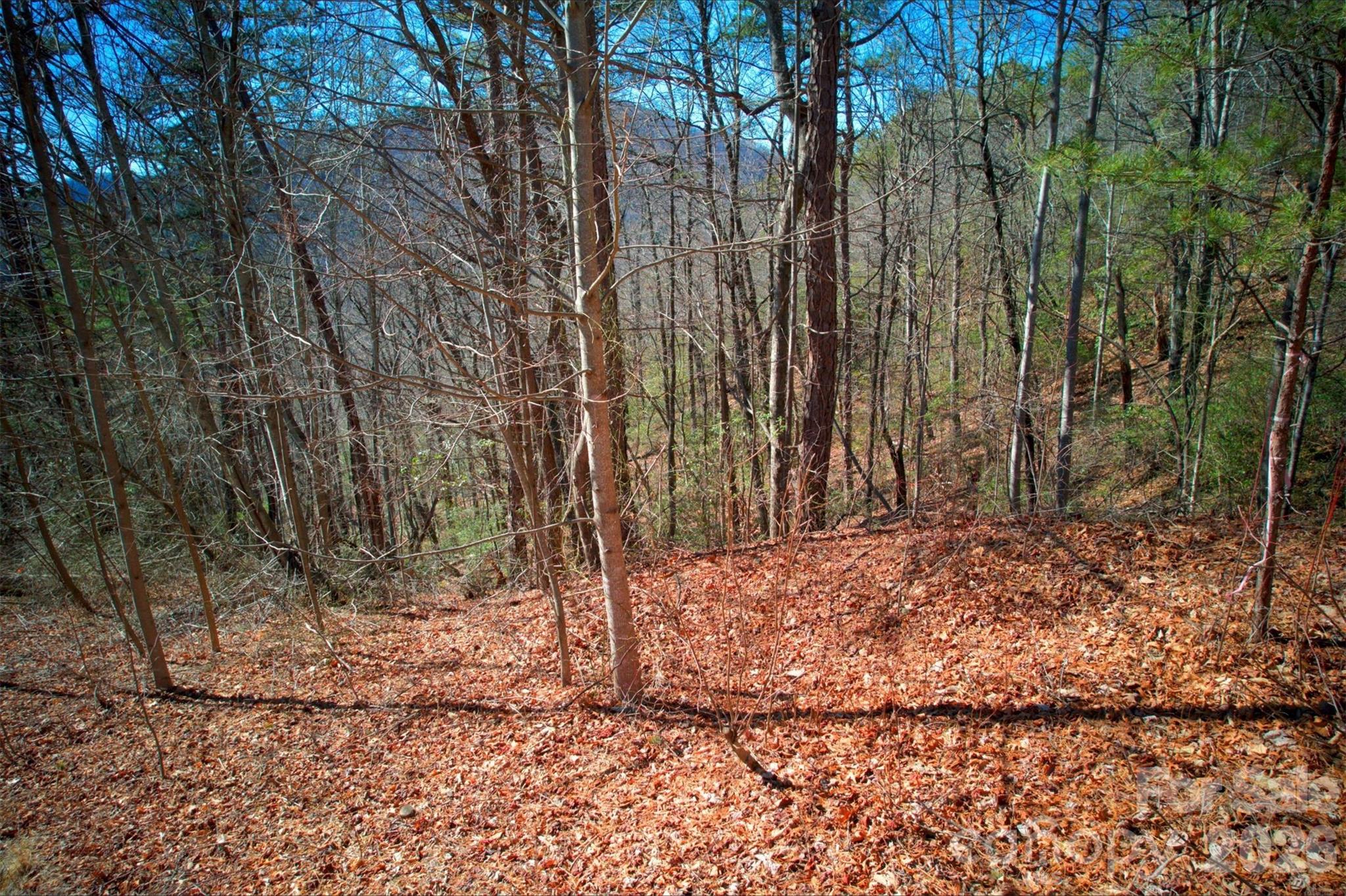 0 Whisnant Road Lenoir, NC 28645 - Photo 5 of 21 a view of a backyard of the house