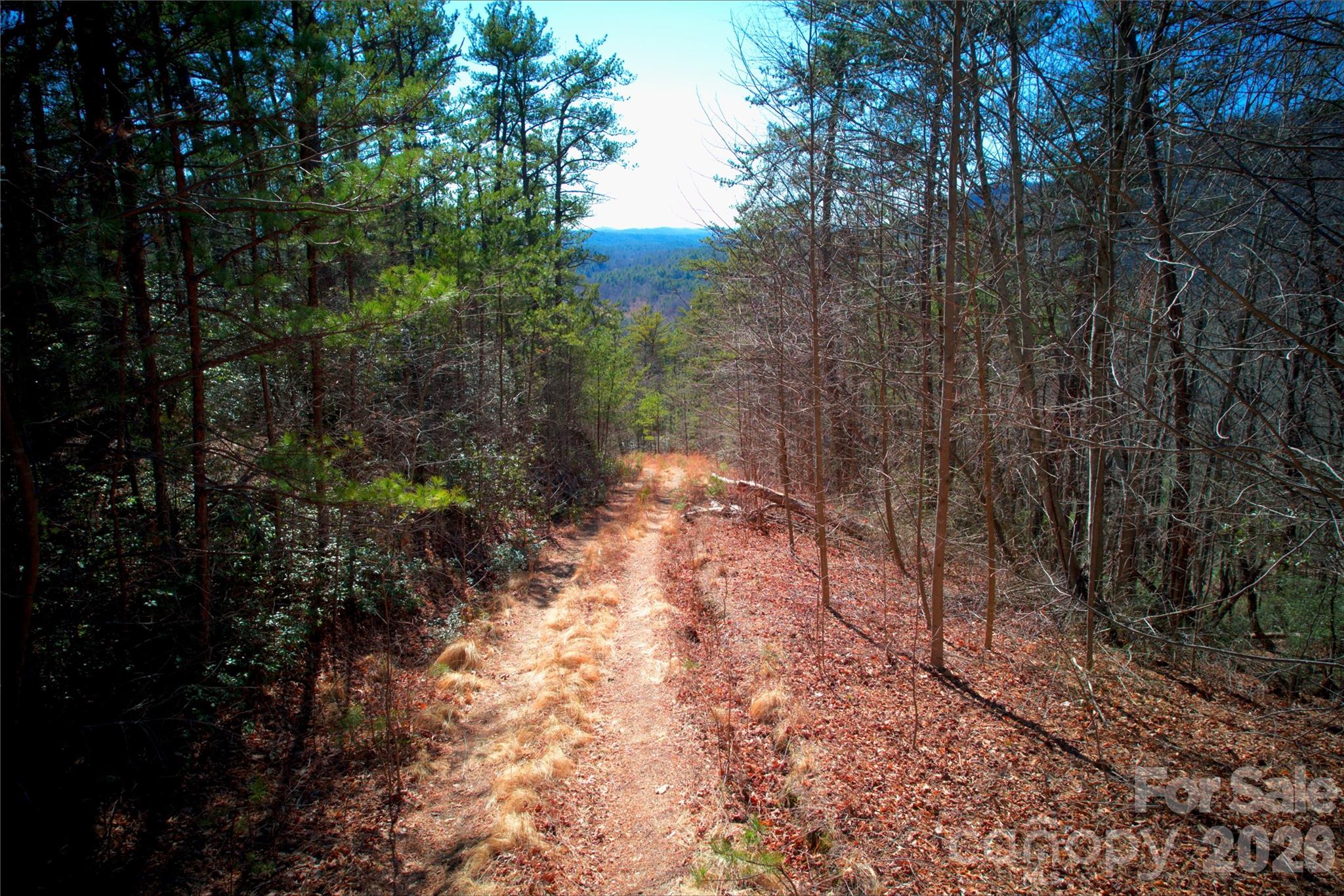 0 Whisnant Road Lenoir, NC 28645 - Photo 6 of 21 a pathway of a yard