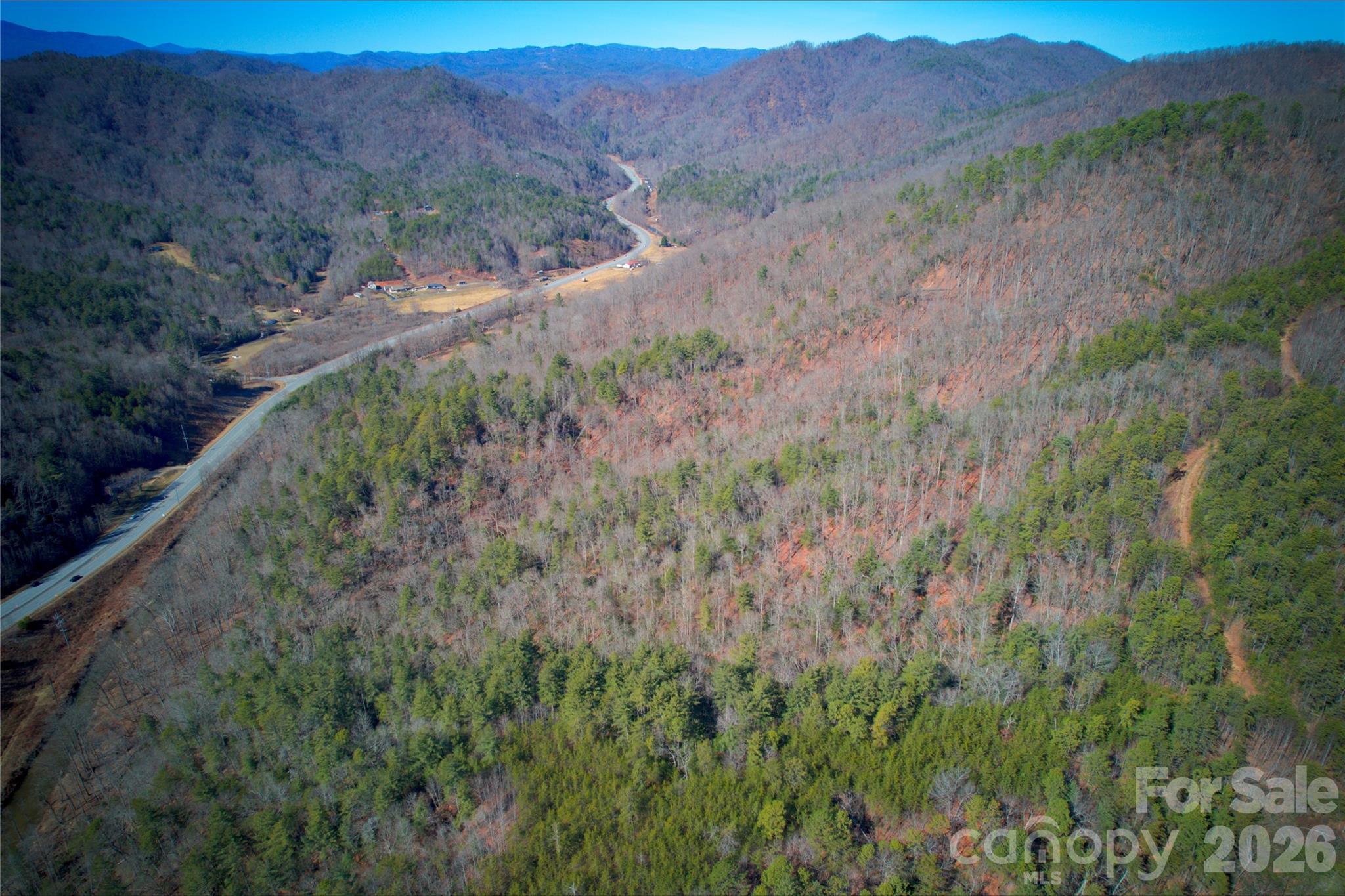 0 Whisnant Road Lenoir, NC 28645 - Photo 9 of 21 a view of a dry field with trees in the background
