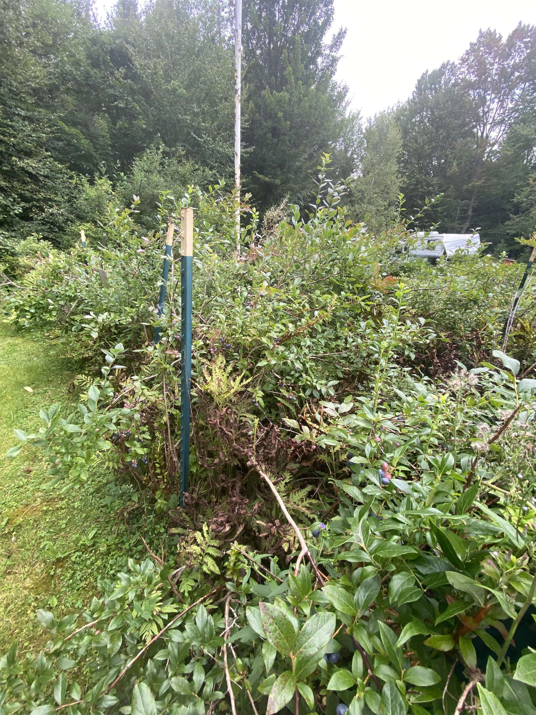 2581 Brook Road Burke, VT 05871 - Photo 20 of 21 Gallery Image 20