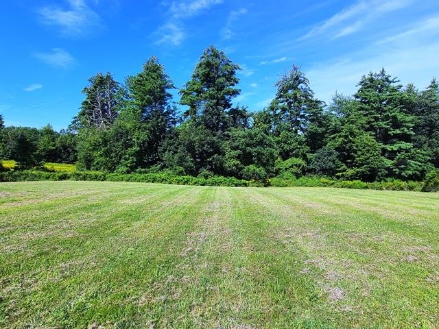 14 Homestead Road Alstead, NH 03602 - Photo 34 of 35