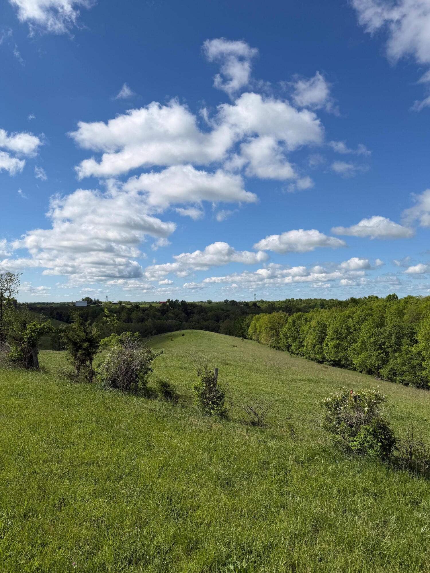 14.17-ac Chipman Ridge Road Williamstown, KY 41097 - Photo 3 of 18