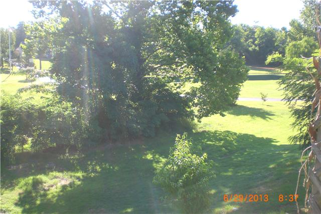 7522 Michie Pebble Hill Road Michie, TN 38357 - Photo 12 of 14