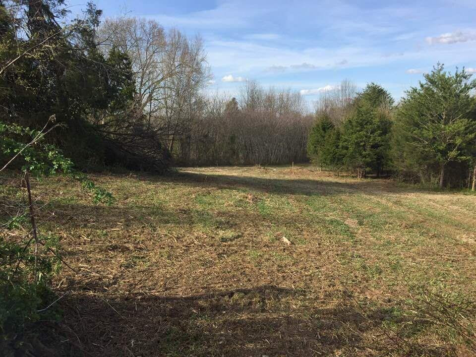 999 Dreyfus Road Berea, KY 40403 - Photo 2 of 27 Listing Photo